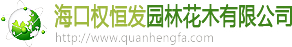 安博电竞